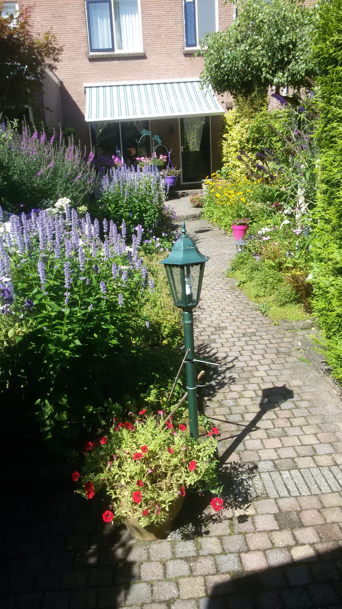 Foto 29 van Krugerlaan 169