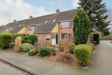 undefined main image