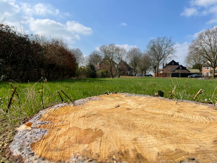 Photo 5 of Ronde Akkers