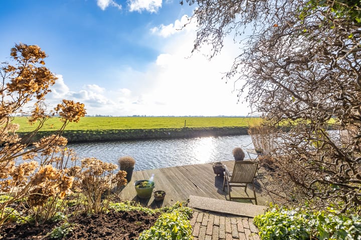 Foto 2 van Speenkruid 50