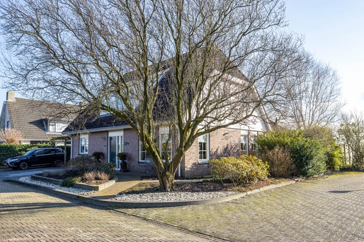 Foto 4 van Speenkruid 50