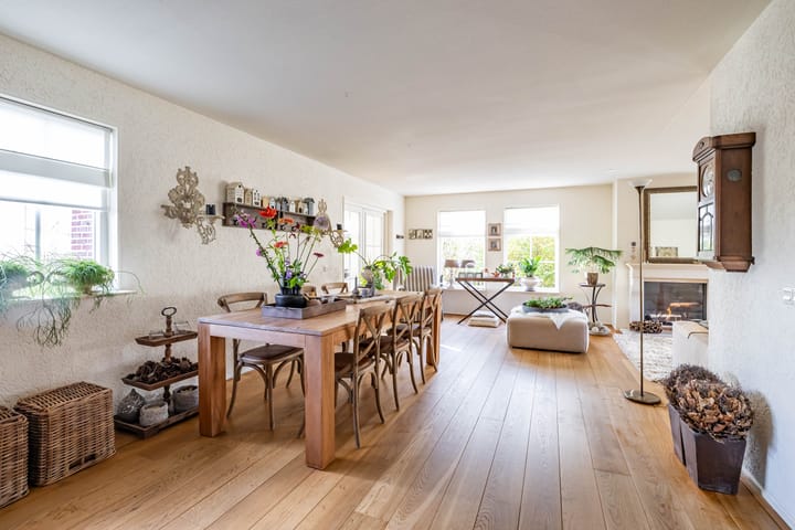 Foto 7 van Speenkruid 50