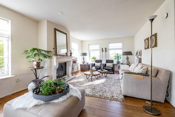 Foto 8 van Speenkruid 50