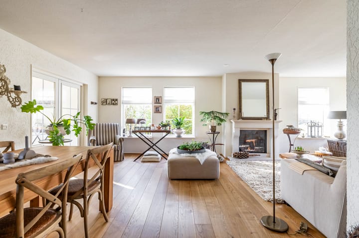 Foto 9 van Speenkruid 50