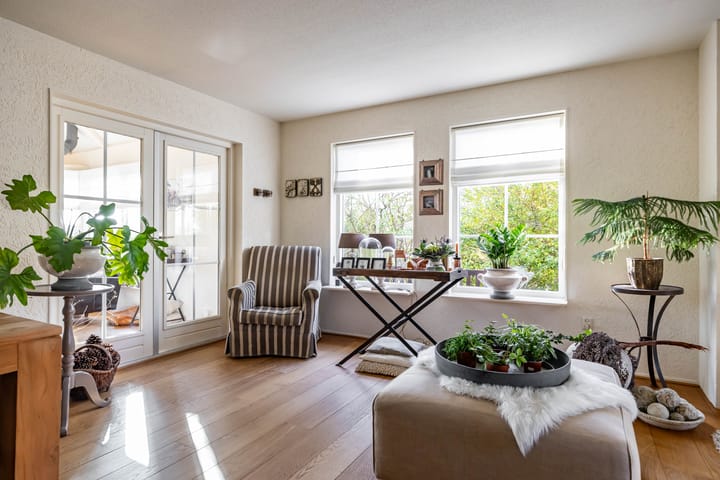 Foto 10 van Speenkruid 50