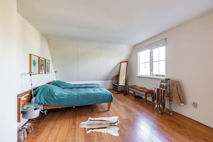 Foto 19 van Speenkruid 50