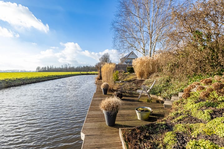 Foto 32 van Speenkruid 50