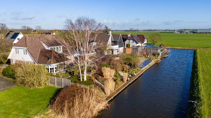 Foto 35 van Speenkruid 50