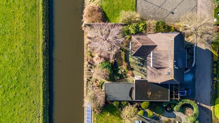 Foto 36 van Speenkruid 50