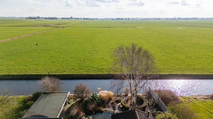 Foto 38 van Speenkruid 50