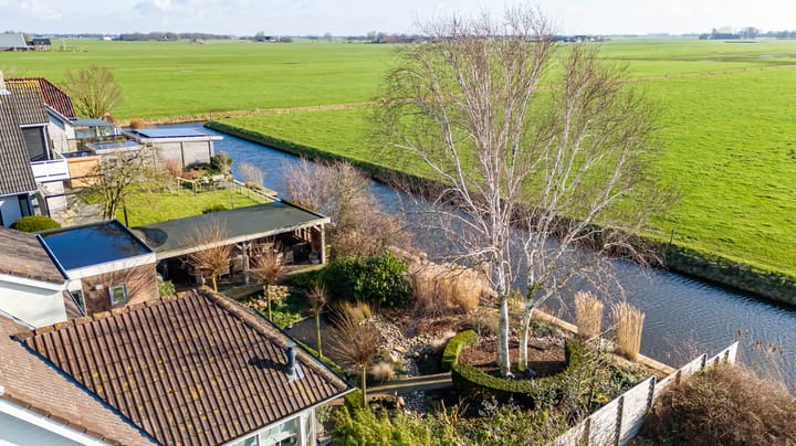 Foto 39 van Speenkruid 50