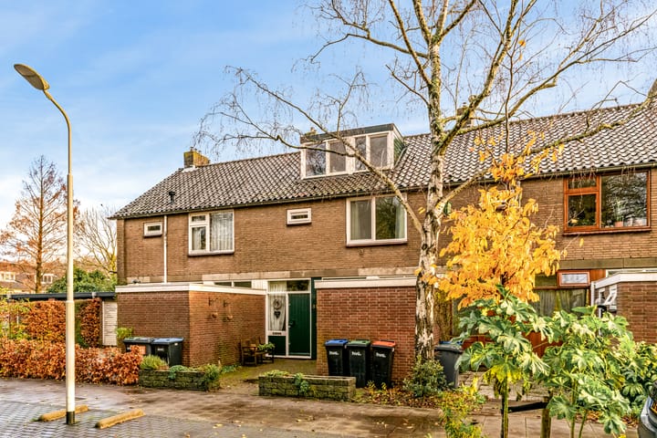 Foto 40 van Bristolroodstraat 114