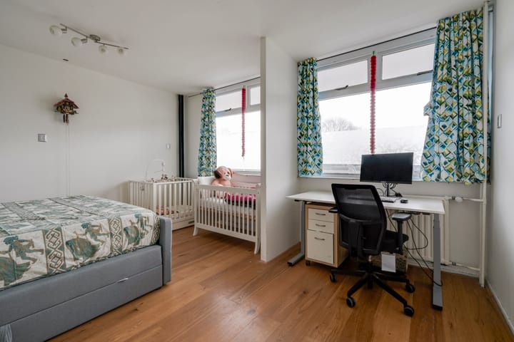 Foto 4 van Fruinplantsoen 86