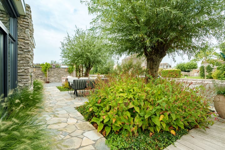 Foto 27 van Scheendijk 22-20