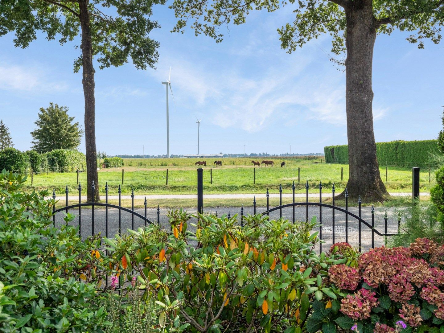 Photo 15 of Zuiderdiep 345