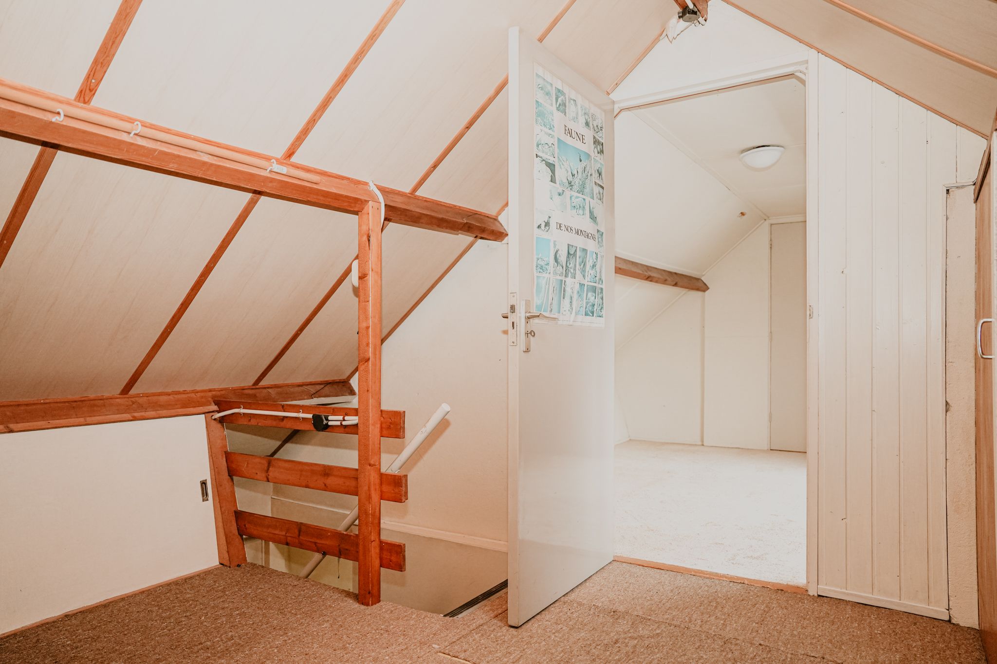 Foto 27 van Burgemeester von Geusauweg 40