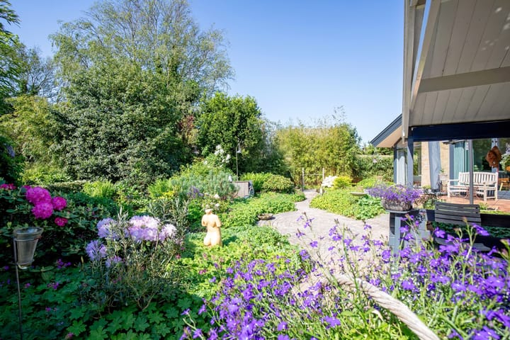 Foto 45 van Wulkpad 2