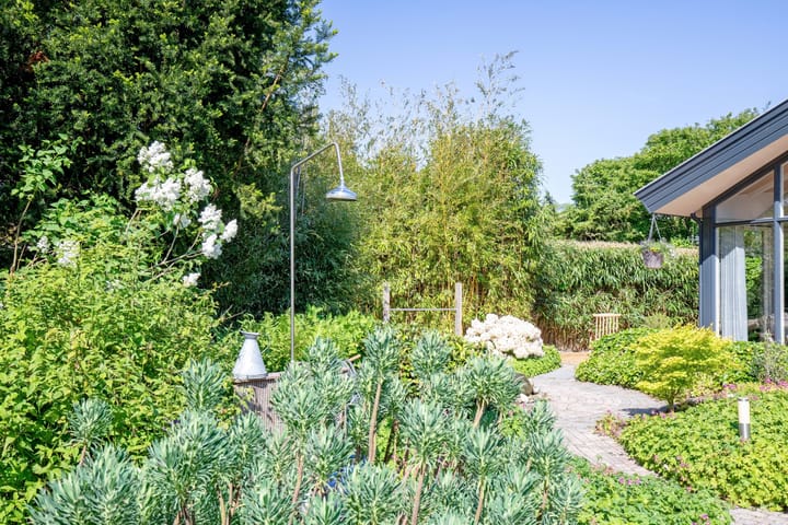 Foto 46 van Wulkpad 2