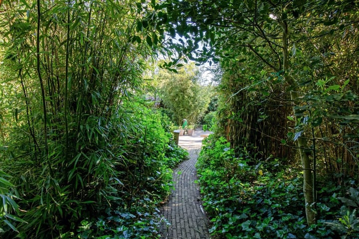 Foto 48 van Wulkpad 2