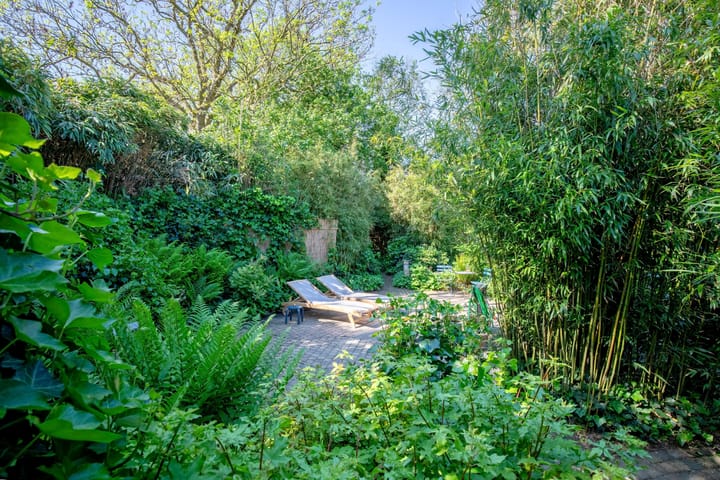 Foto 53 van Wulkpad 2