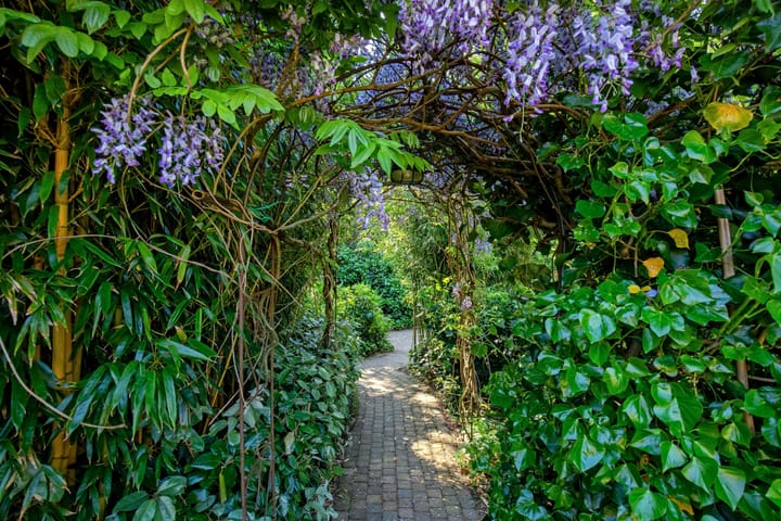 Foto 55 van Wulkpad 2