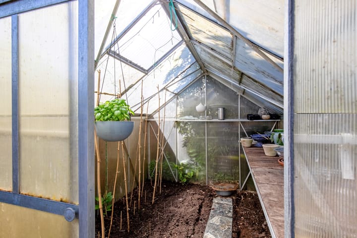 Foto 57 van Wulkpad 2