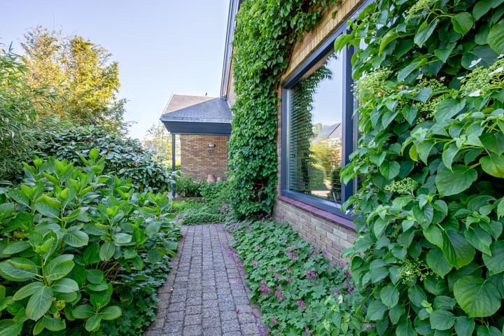 Foto 61 van Wulkpad 2