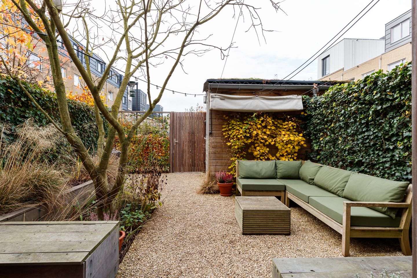 Foto 10 van Schoonebekerstraat 29