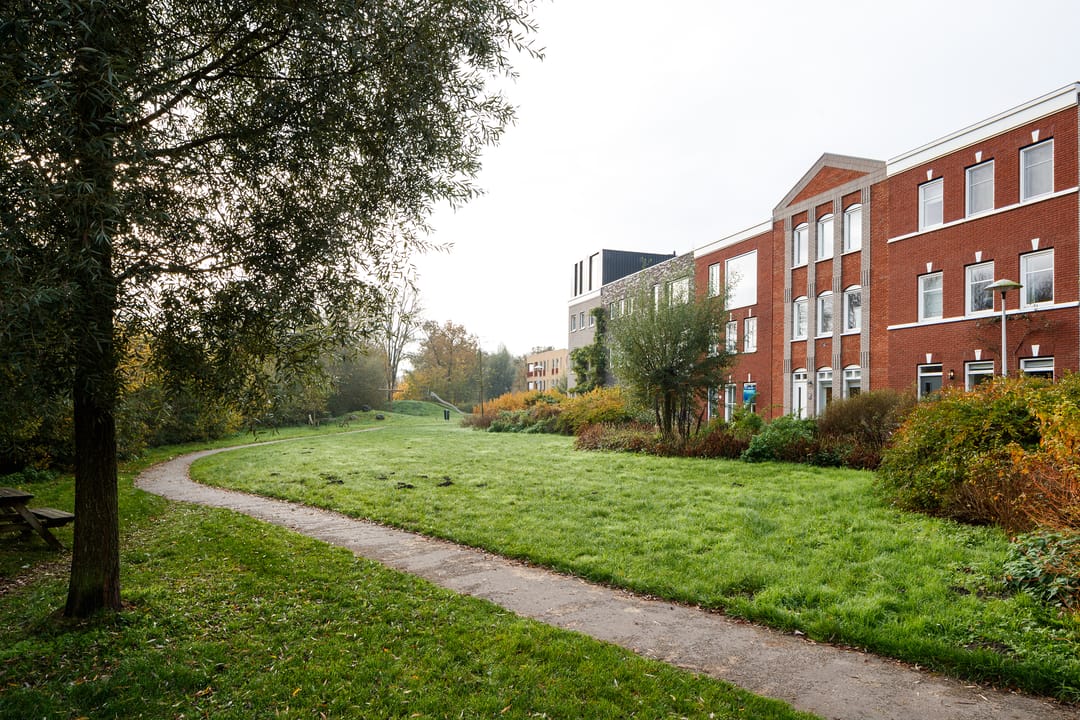 Foto 26 van Schoonebekerstraat 29