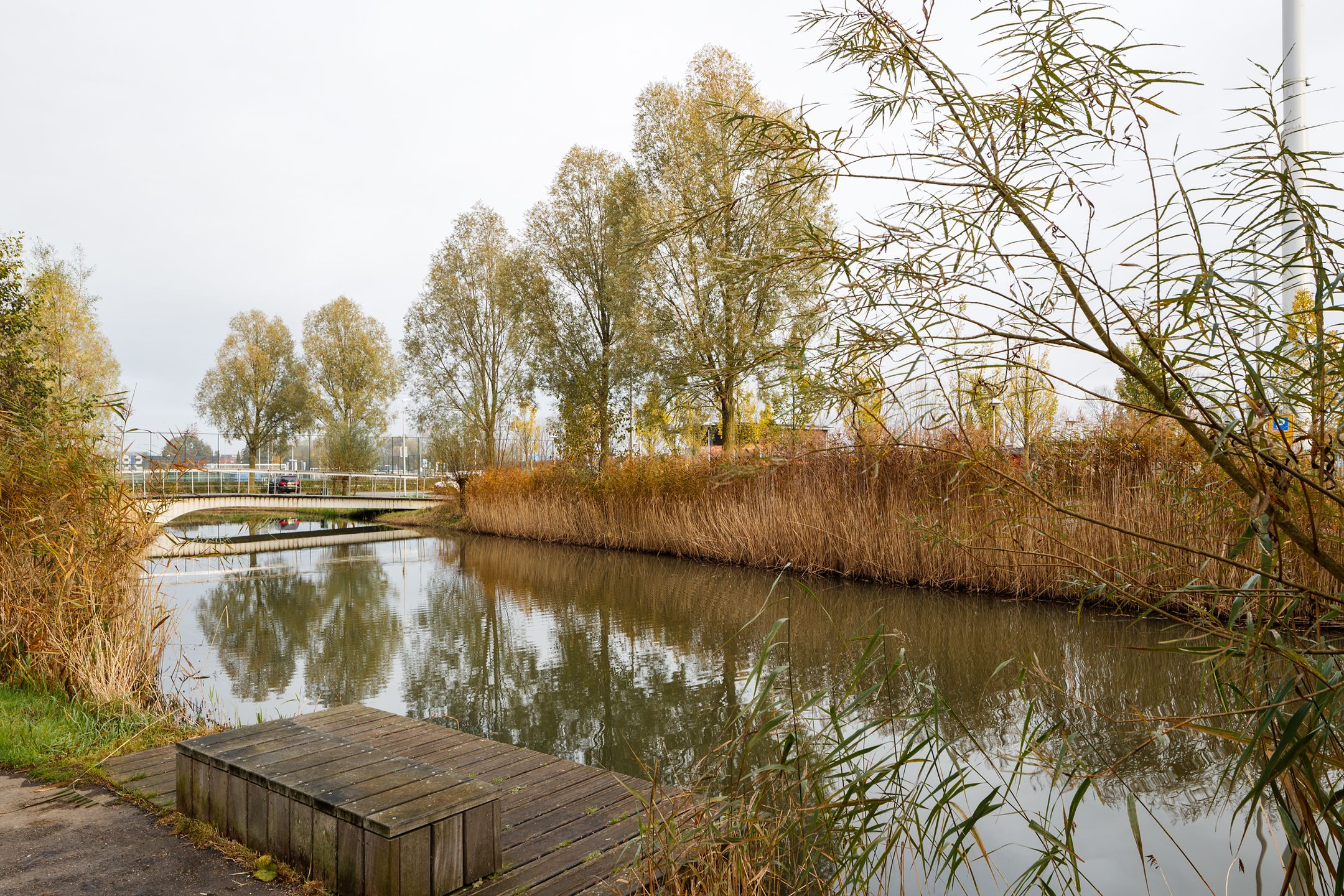 Foto 27 van Schoonebekerstraat 29