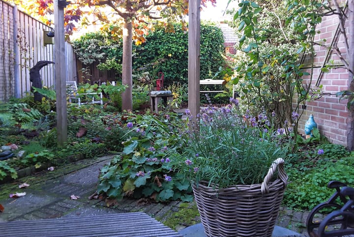 Foto 34 van Hardsteen 27