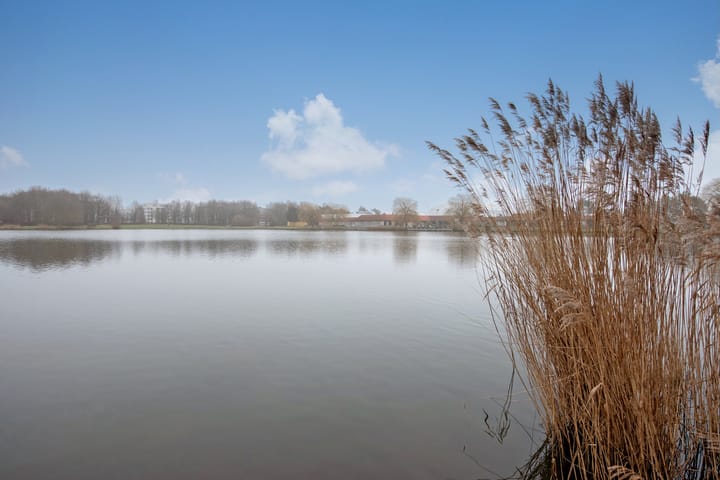 Foto 37 van Hardsteen 27