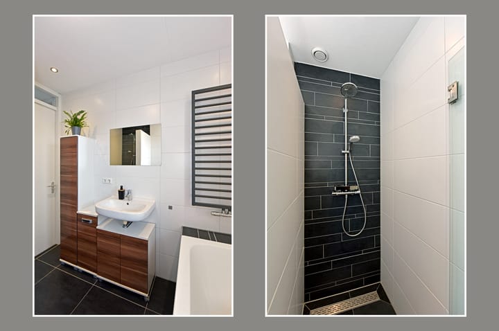 Foto 15 van Zilverreiger 14