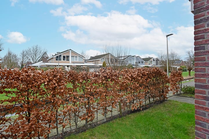 Foto 31 van Zilverreiger 14