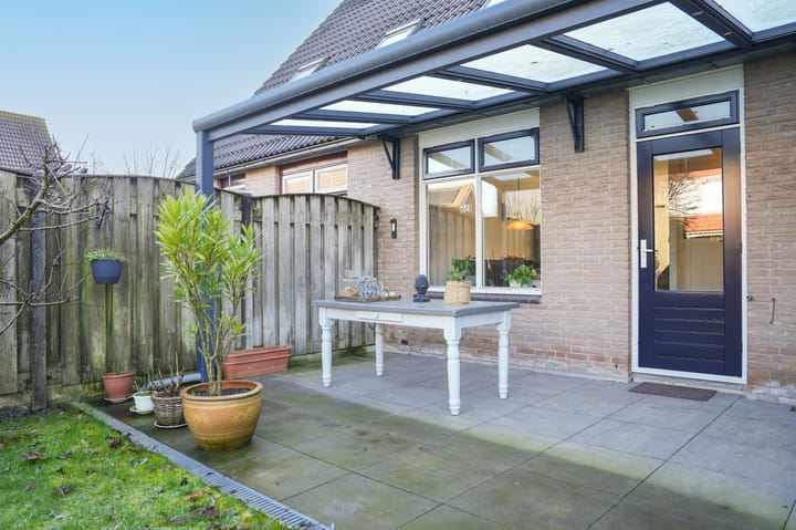 Photo 26 of Kamperfoelie 16