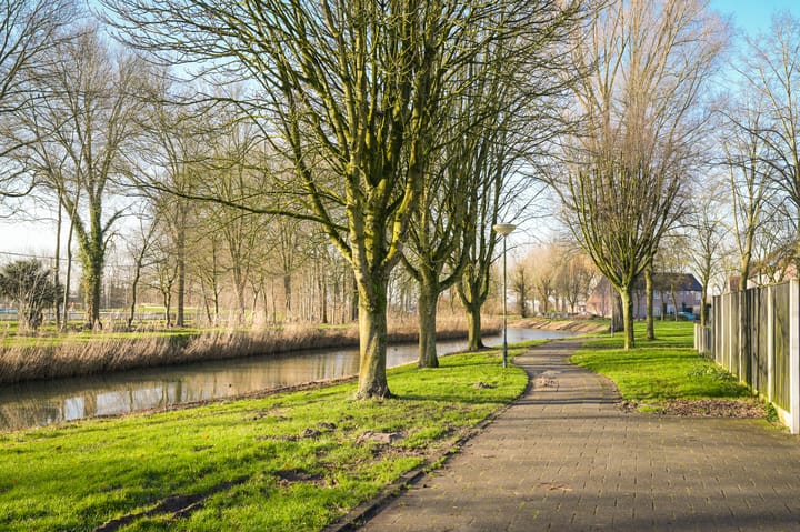 Photo 30 of Kamperfoelie 16