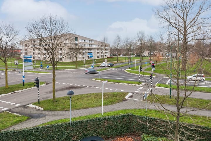 Foto 20 van Jeneverbes 67