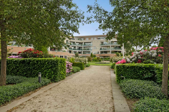 Foto 36 van Jeneverbes 67