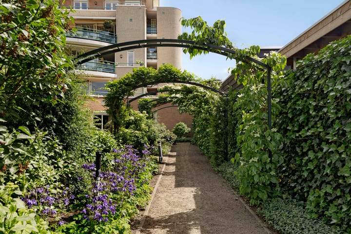 Foto 39 van Jeneverbes 67