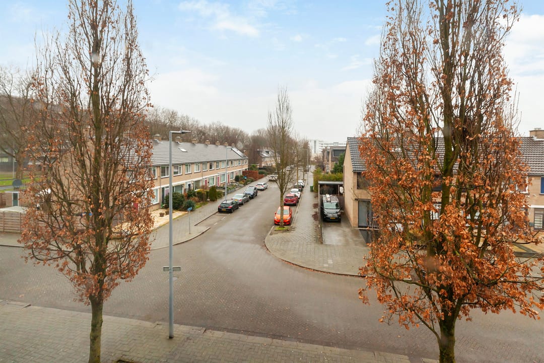 Foto 38 van Dennekruid 40