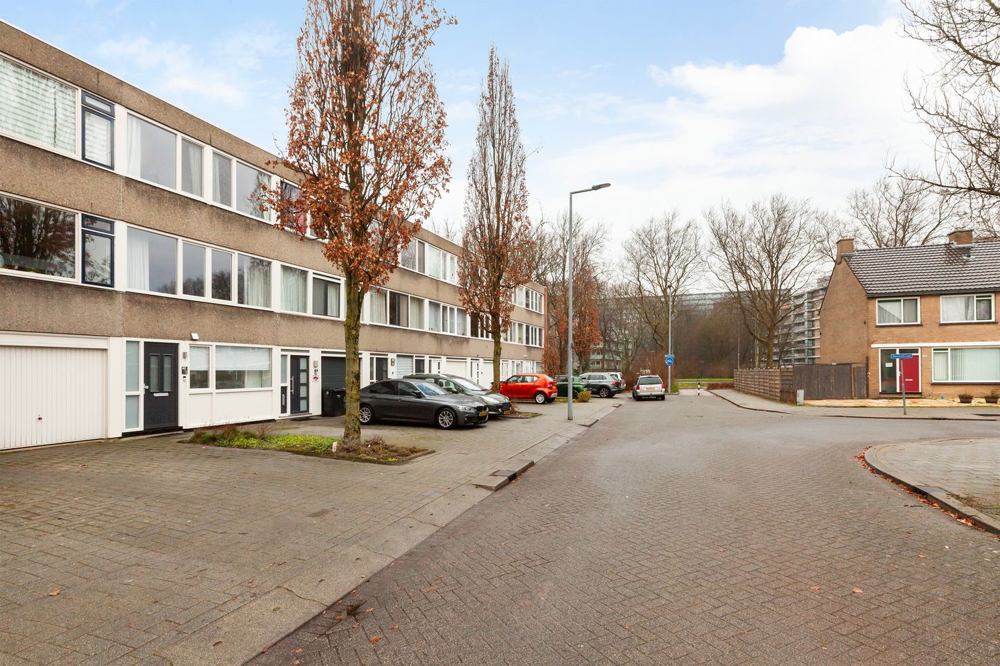 Foto 40 van Dennekruid 40