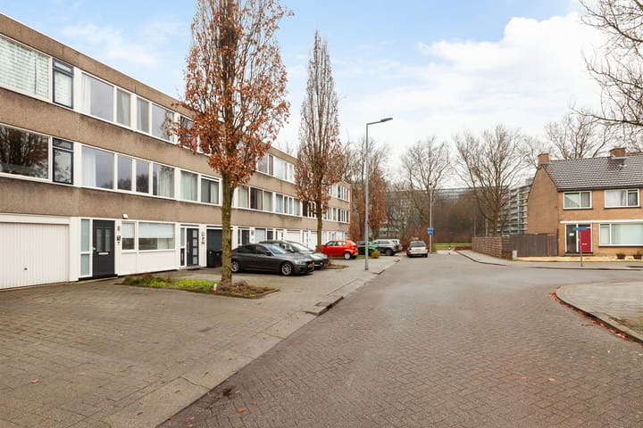 Foto 40 van Dennekruid 40