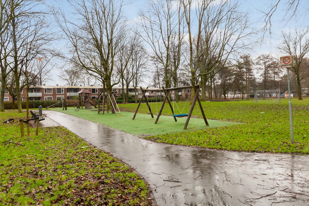 Foto 41 van Dennekruid 40