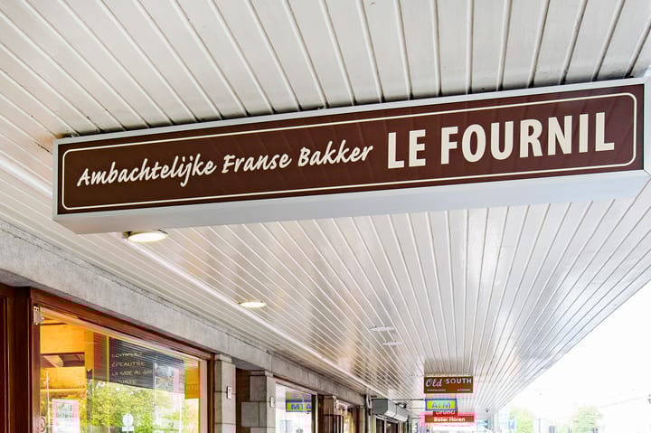 Foto 39 van Minervalaan 35-2