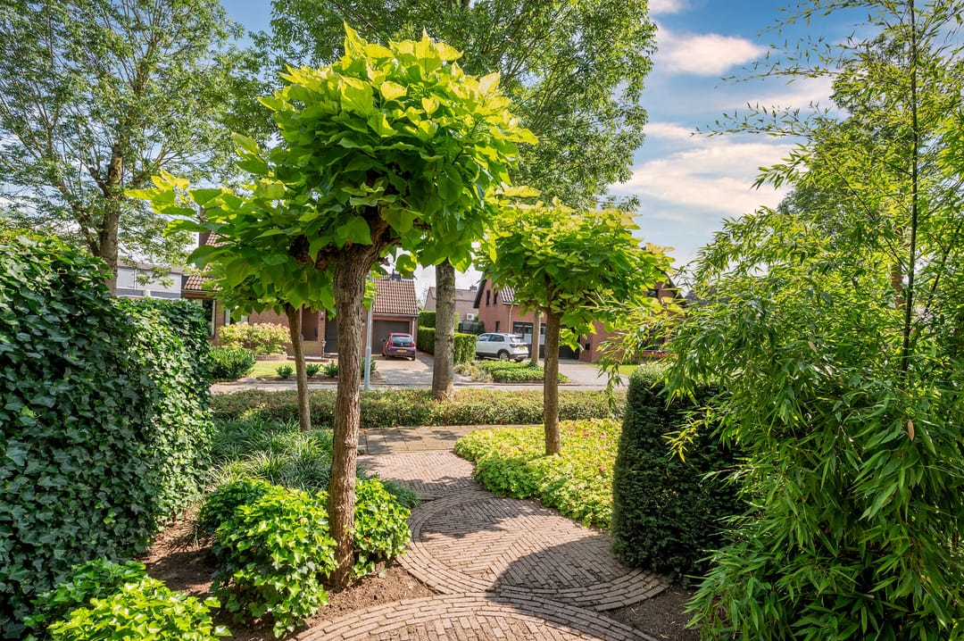 Foto 2 van Cleopatralaan 12