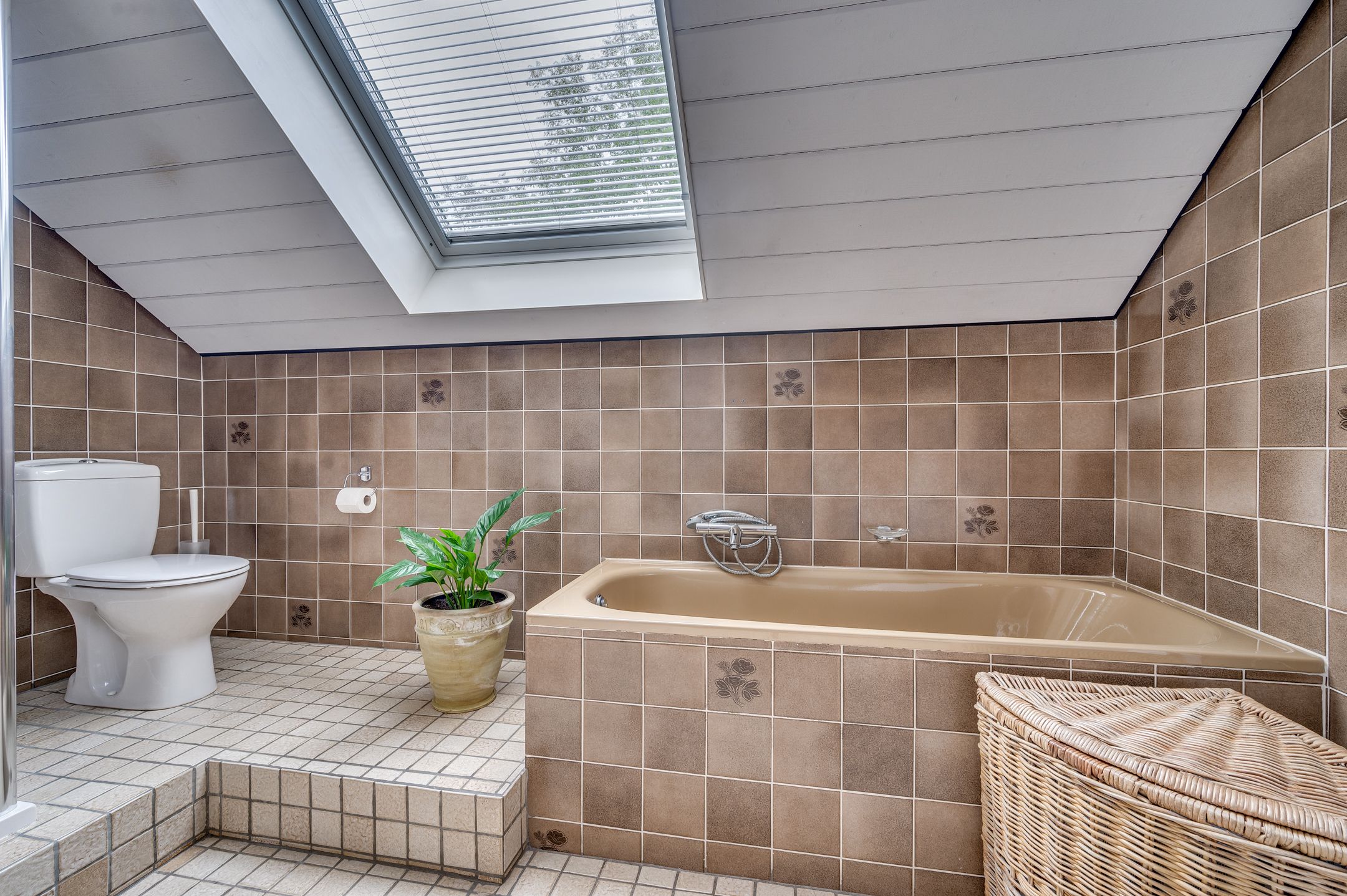 Foto 51 van Cleopatralaan 12