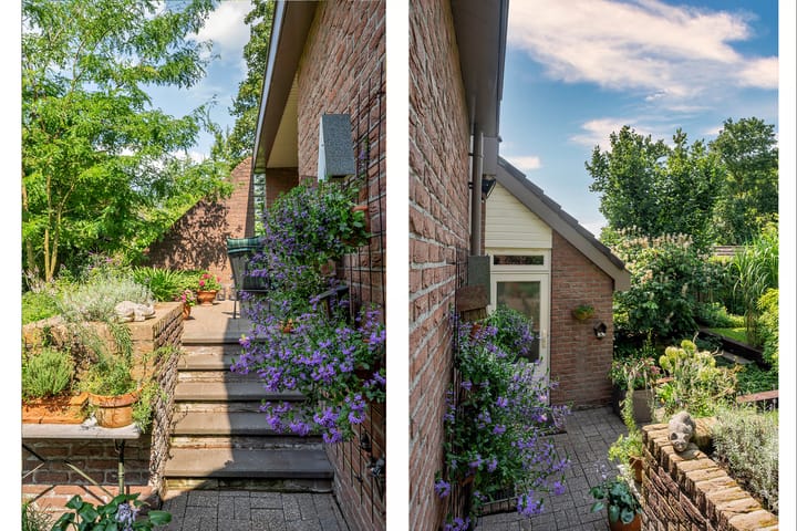 Foto 56 van Cleopatralaan 12