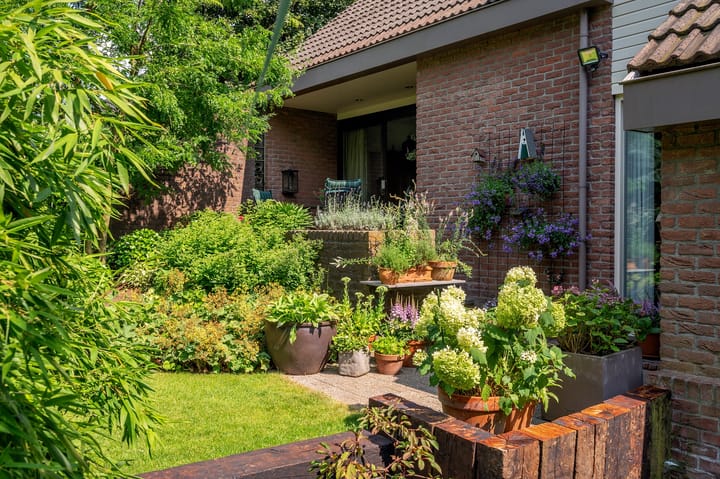 Foto 57 van Cleopatralaan 12