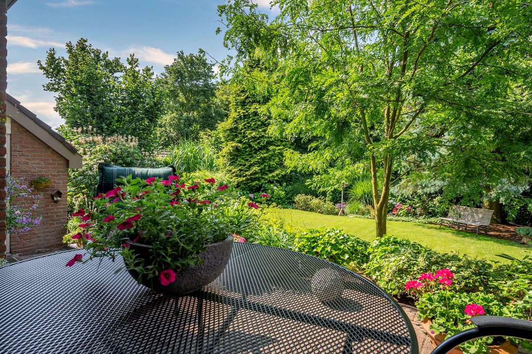 Foto 58 van Cleopatralaan 12