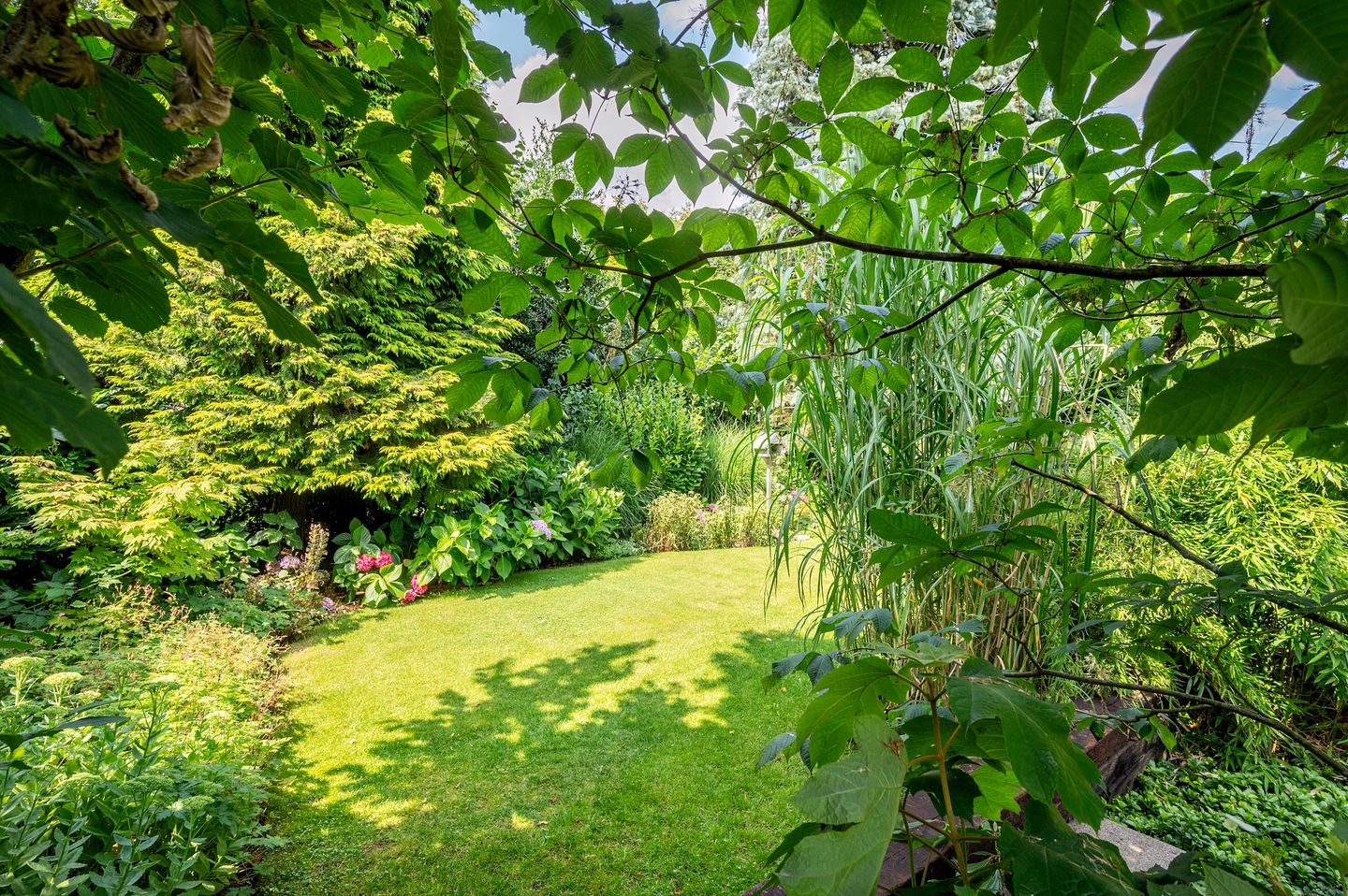 Foto 59 van Cleopatralaan 12